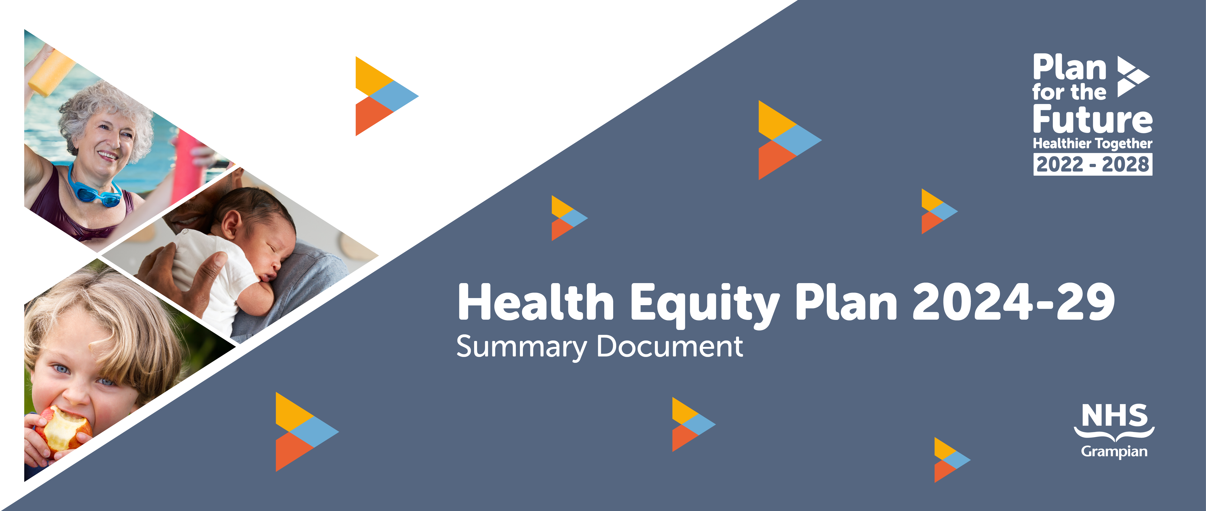 PFTF health equity plan banner.png