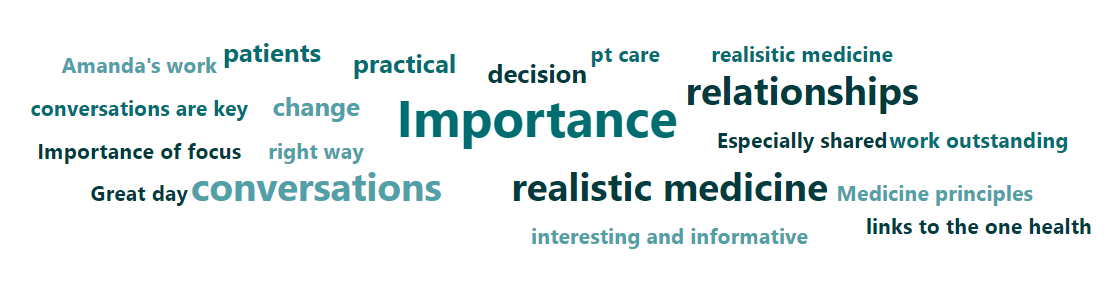 Realistic Medicine 2023 Conference Word Cloud
