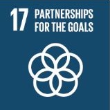 17. Partnership for the Goals.JPG